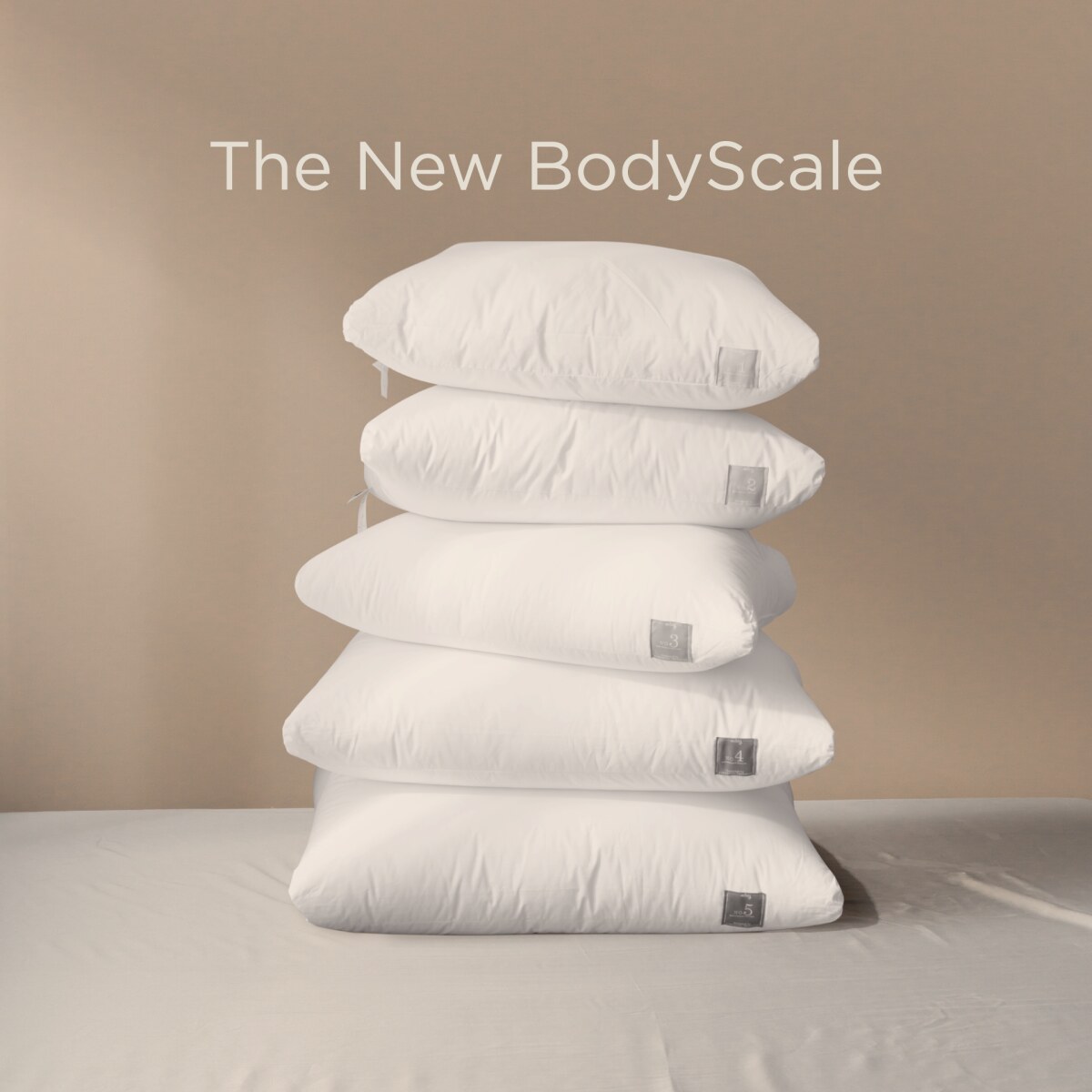 THE NEW BODY SCALE PILLOW NO 2 With Cotton Cover